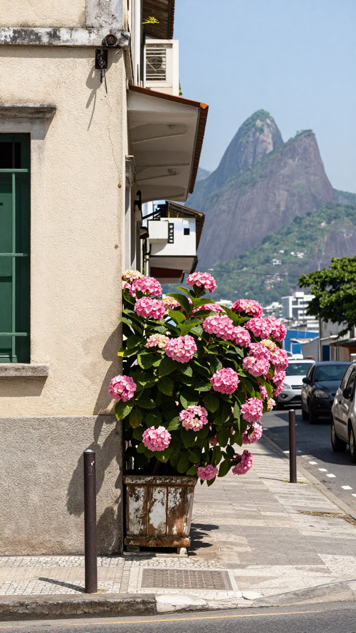 Street Scene in Rio De Janeiro in in Rio de Janeiro, Brazil
