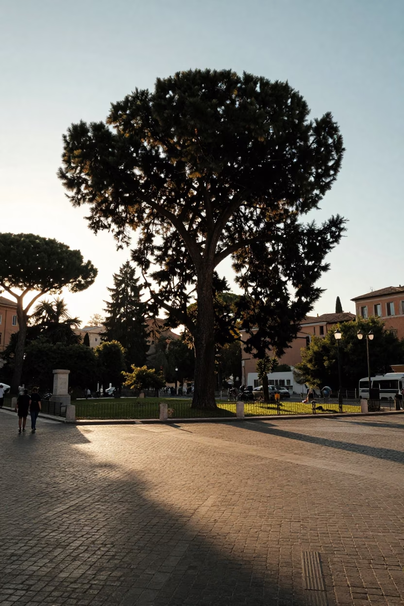 Street Scene in Rome at The Late Afternoon Light in in Rome, Italy