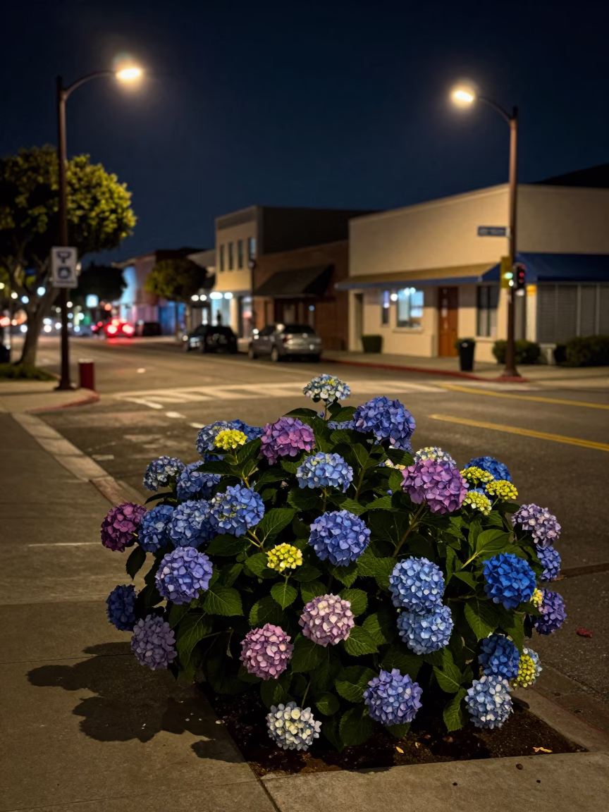 Street Scene in San Diego at Late At Night Light in in San Diego, California, United States