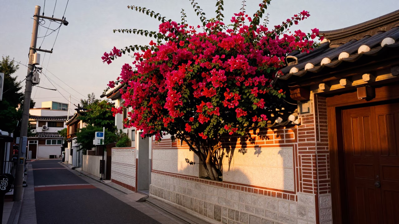 Street Scene in Seoul at Honeyed Evening Light in in Seoul, South Korea