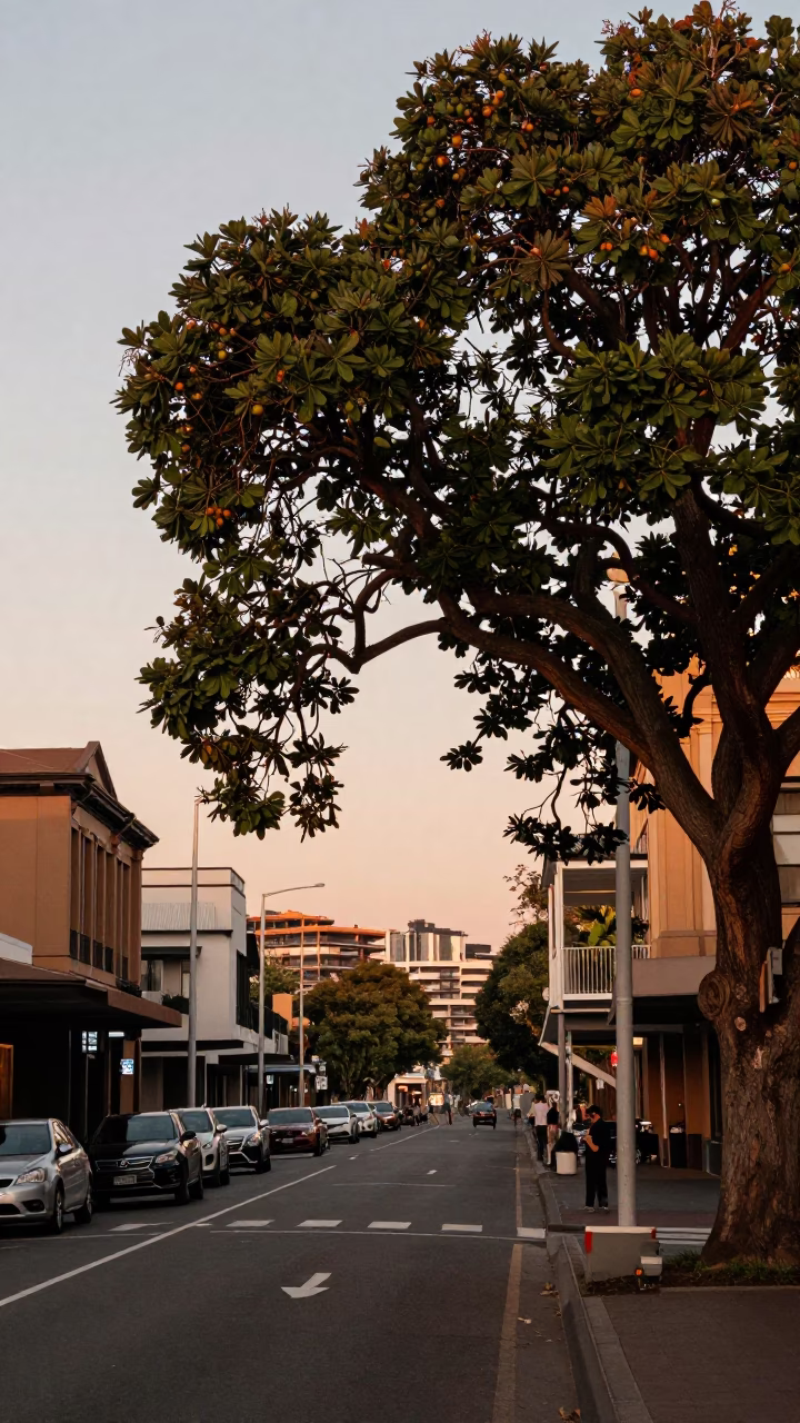 Street Scene in Sydney at Copper-toned Light Before Dusk in in Sydney, New South Wales, Australia