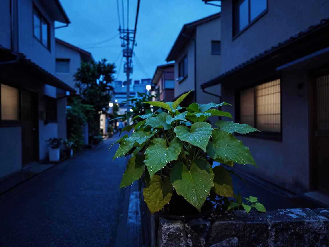Street Scene in Tokyo at Indigo Twilight After Sunset in in Tokyo, Japan