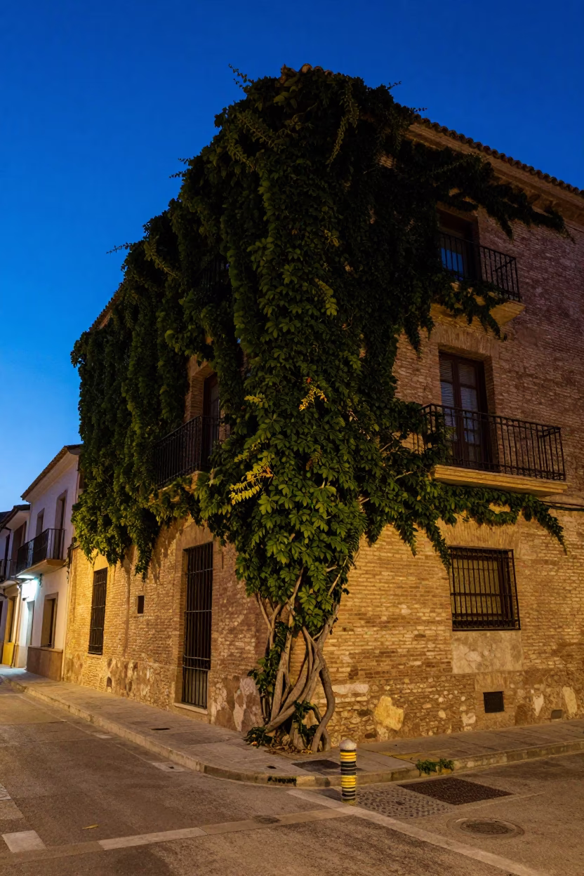 Street Scene in Valencia at The Predawn Darkness Light in in Valencia, Spain