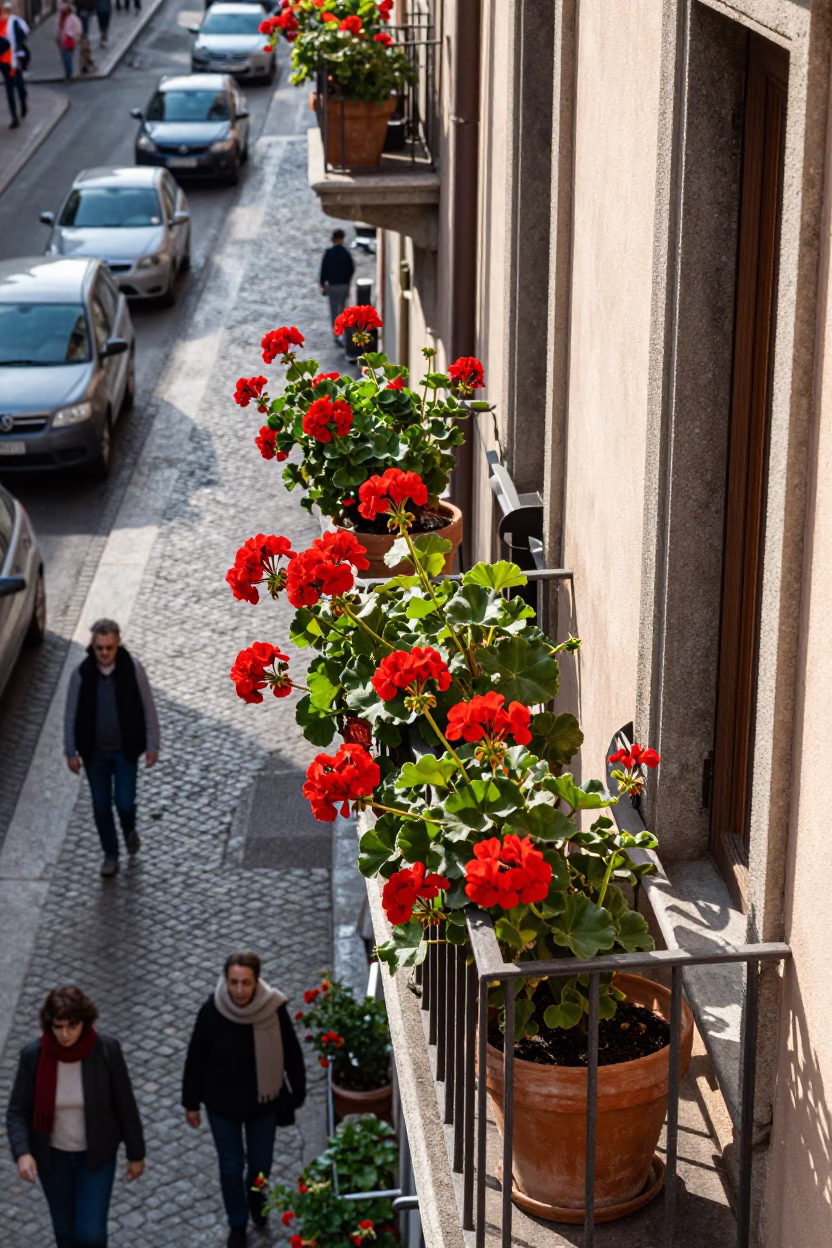 Street Traffic in Milan in in Milan, Italy