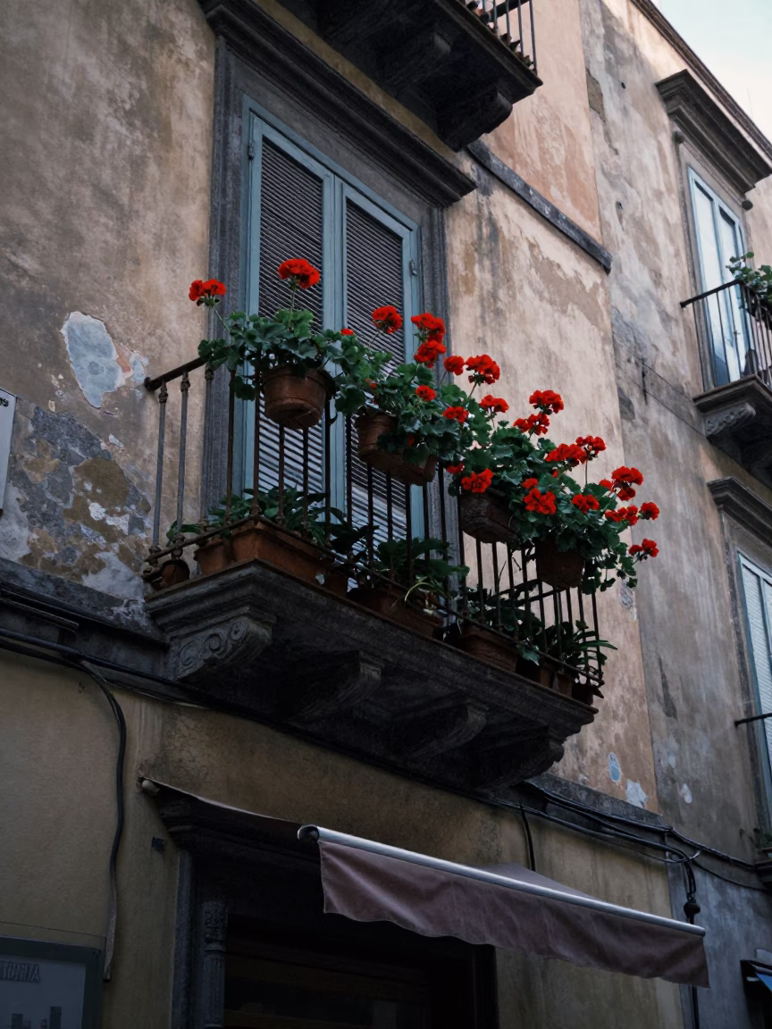 Street Vendor in Naples in in Naples, Italy