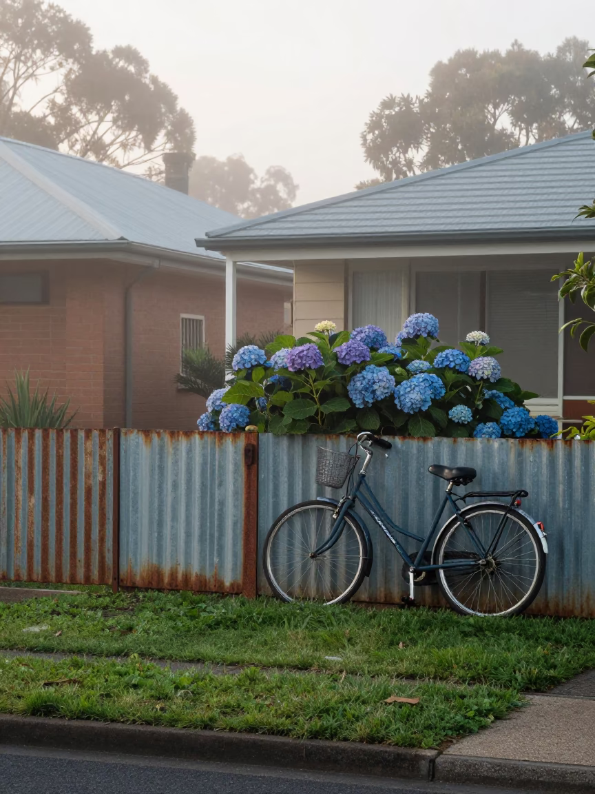 Suburban Garden in Perth in in Perth, Western Australia, Australia
