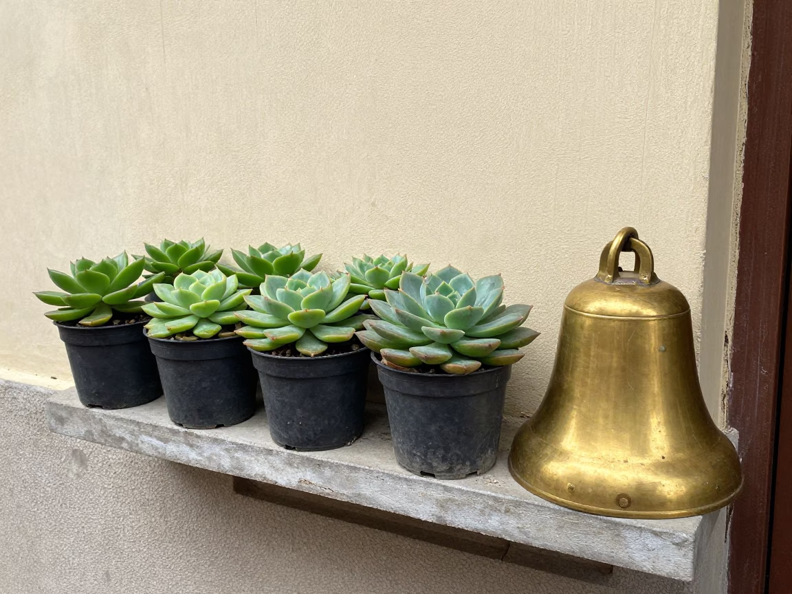 Succulents And Brass Bell in Ho Chi Minh City in in Ho Chi Minh City, Vietnam