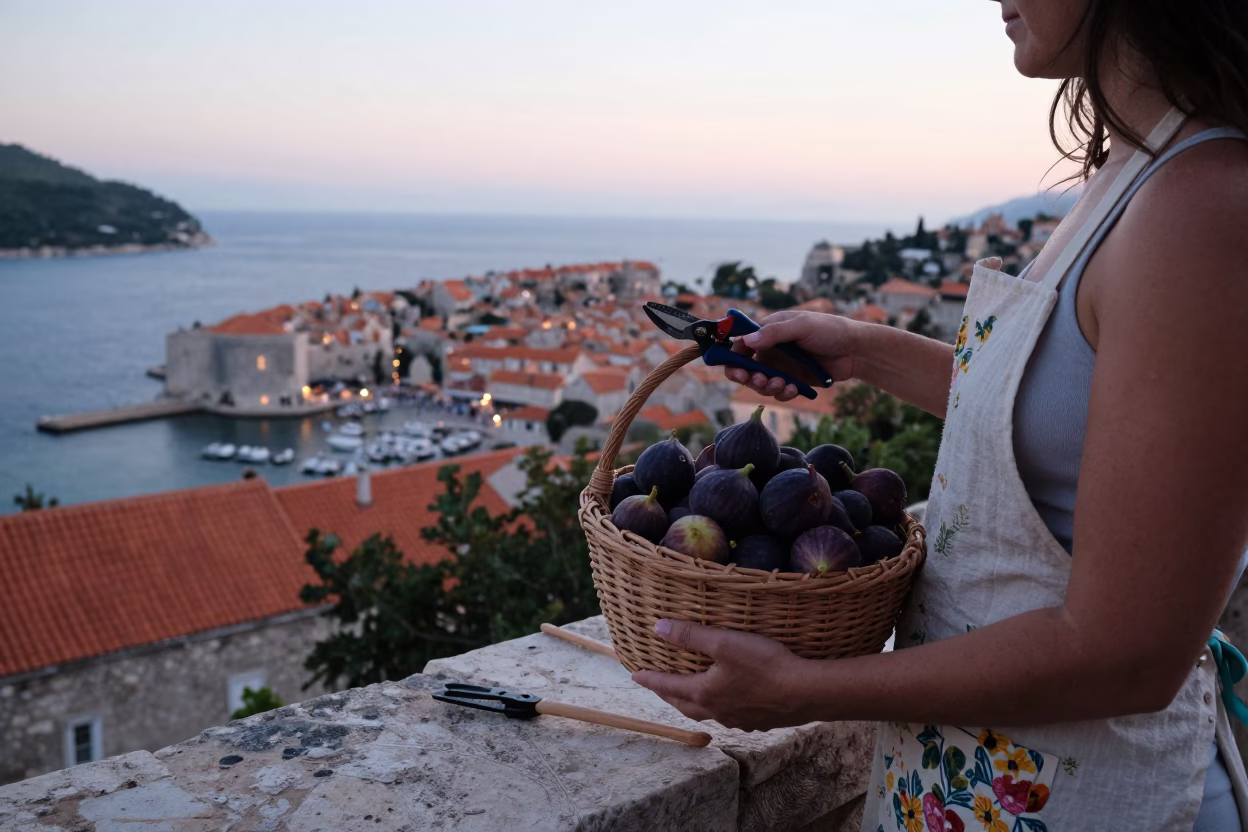 Summer evening in Dubrovnik with figs and gardening tools in in Dubrovnik, Croatia