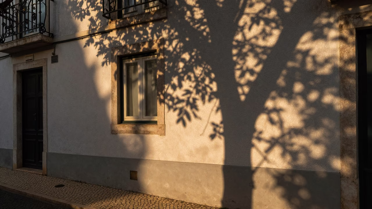 Summer evening in Lisbon Portugal dappled leaf shadows on plaster in in Lisbon, Portugal