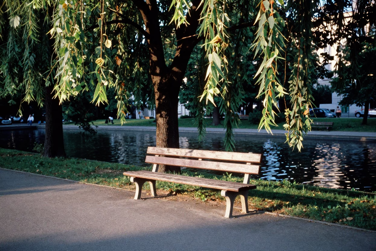 Summer Evening in Vienna Park with Bench and Water Ripples in in Vienna, Austria