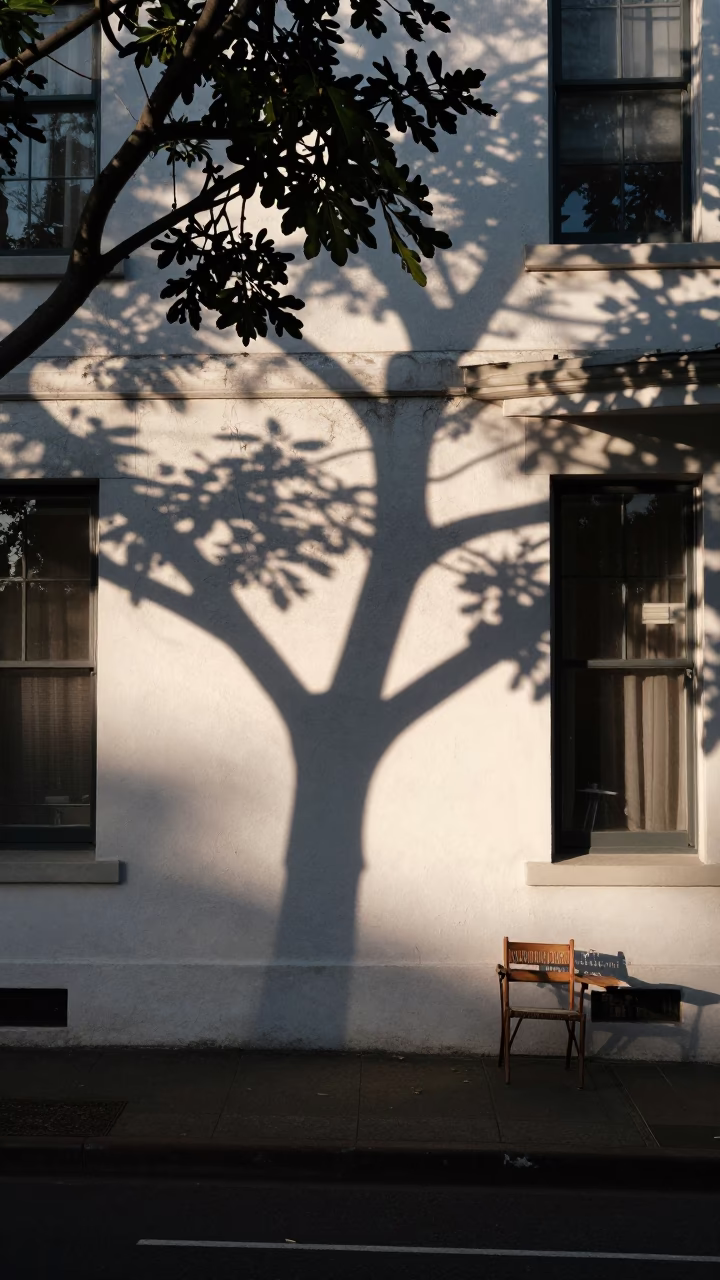 Summer Evening Terrace in Adelaide with Dappled Shadows and Lint in in Adelaide, South Australia, Australia