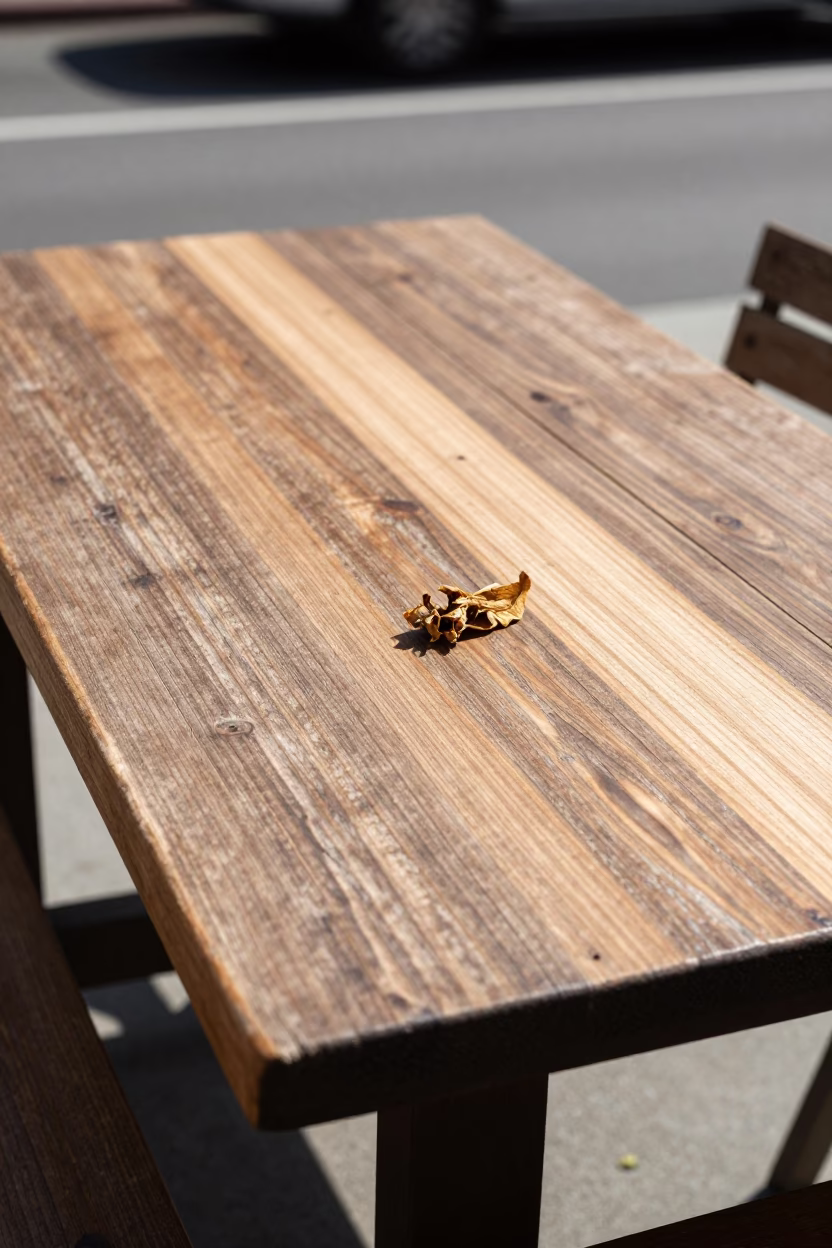 Sun Stripe Across Tabletop in San Francisco Noon Light with Dried Flowers in in San Francisco, California, United States