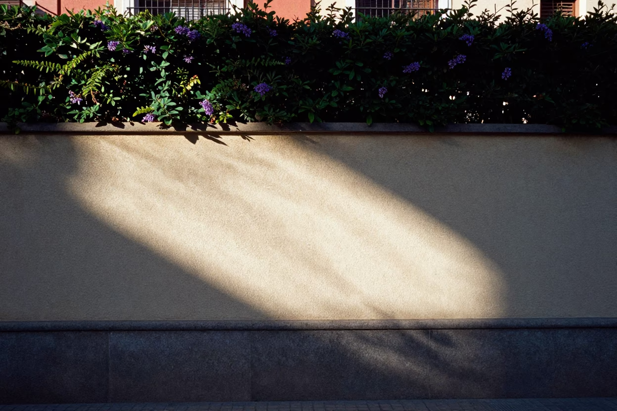 Sun stripe across wall in Madrid Spain early afternoon plumbago hedge in in Madrid, Spain