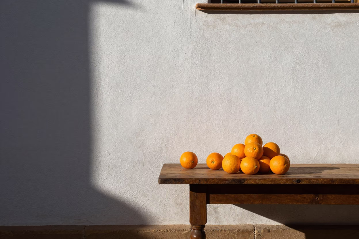 Sunlight and Shadows in a Seville Plaza with Oranges and Ceramic Pots in in Seville, Spain