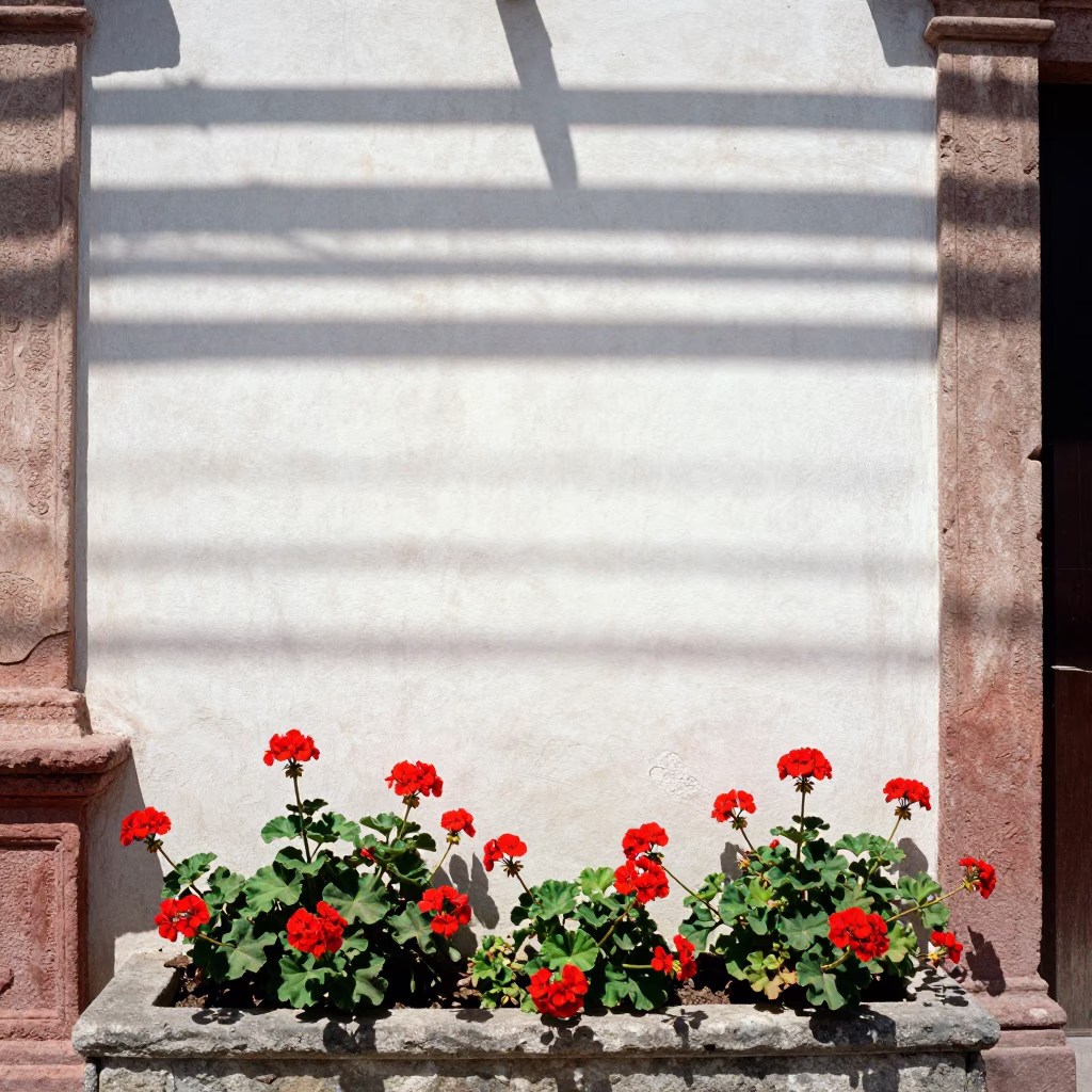 Sunlight Stripes on Plaster Walls and Geraniums in Oaxaca Mexico Midday in in Oaxaca, Mexico