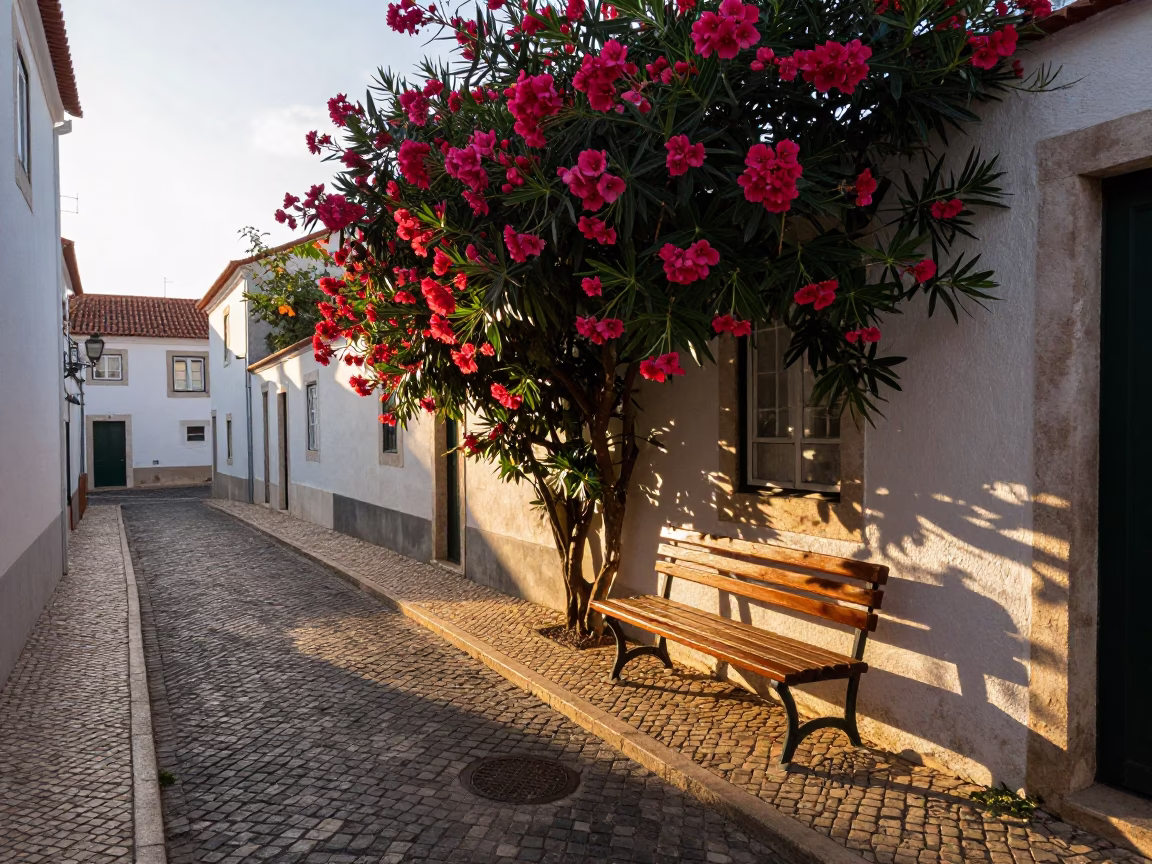 Sunlit Alleyway in Lisbon at First Light Of Dawn in in Lisbon, Portugal