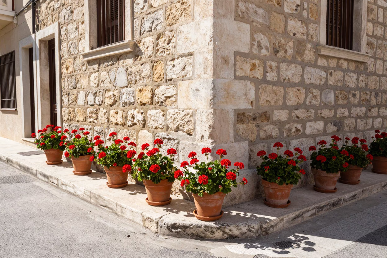 Sunlit Athens Street Corner with Geraniums and Stone Wall in in Athens, Greece