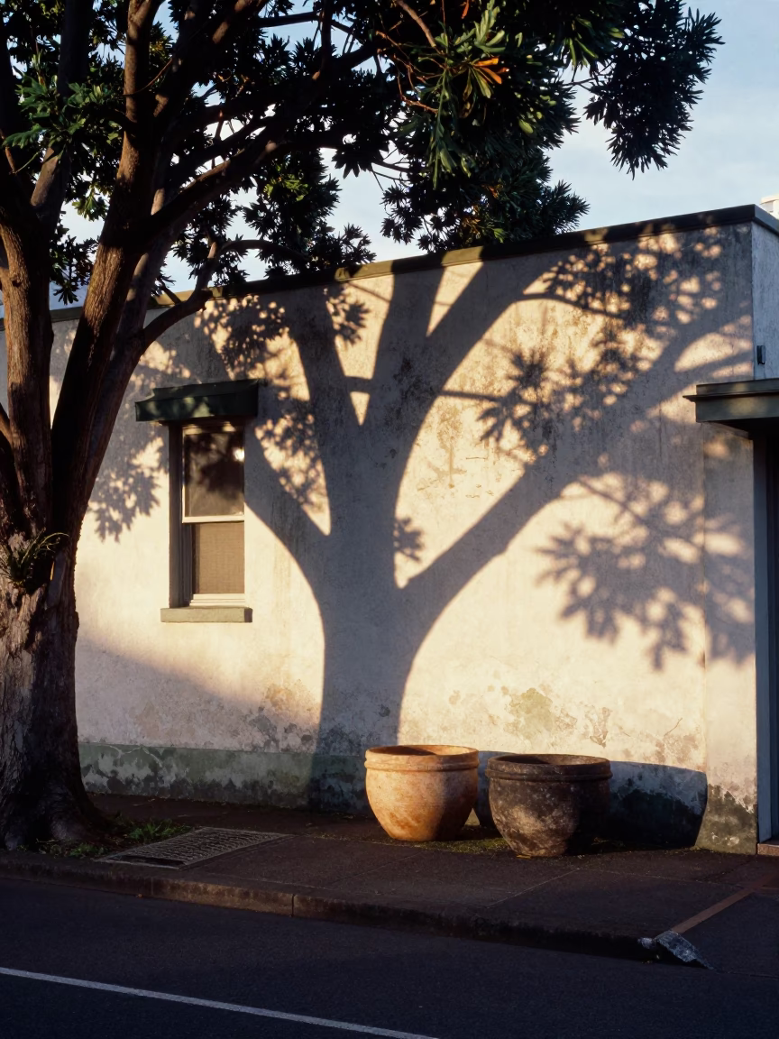 Sunlit Auckland Street Scene with Stoneware Crocks and Dappled Shadows in in Auckland, New Zealand