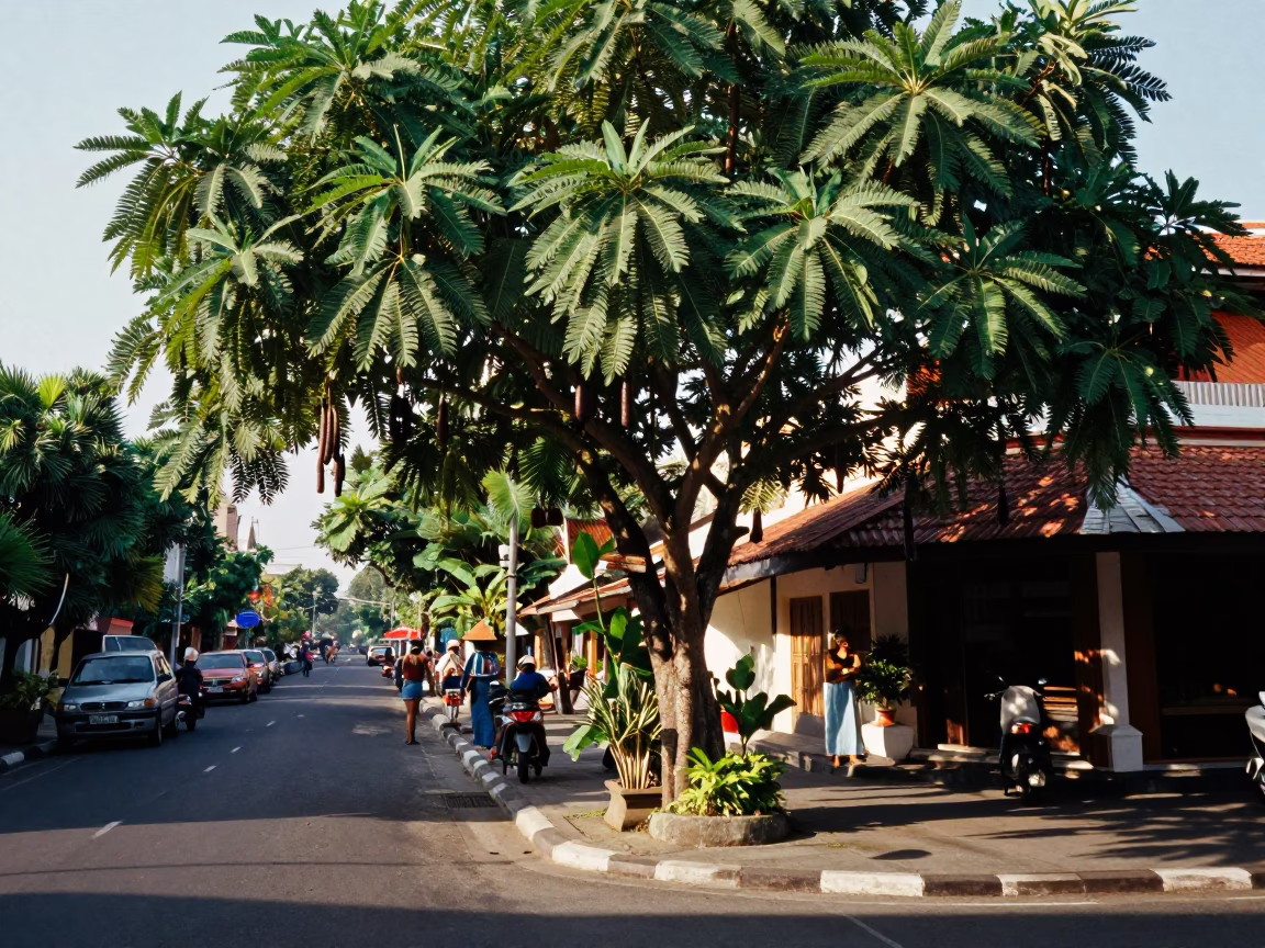 Sunlit Balinese Street Scene with Tamarind Tree and Traditional Architecture in Denpasar in in Denpasar, Indonesia