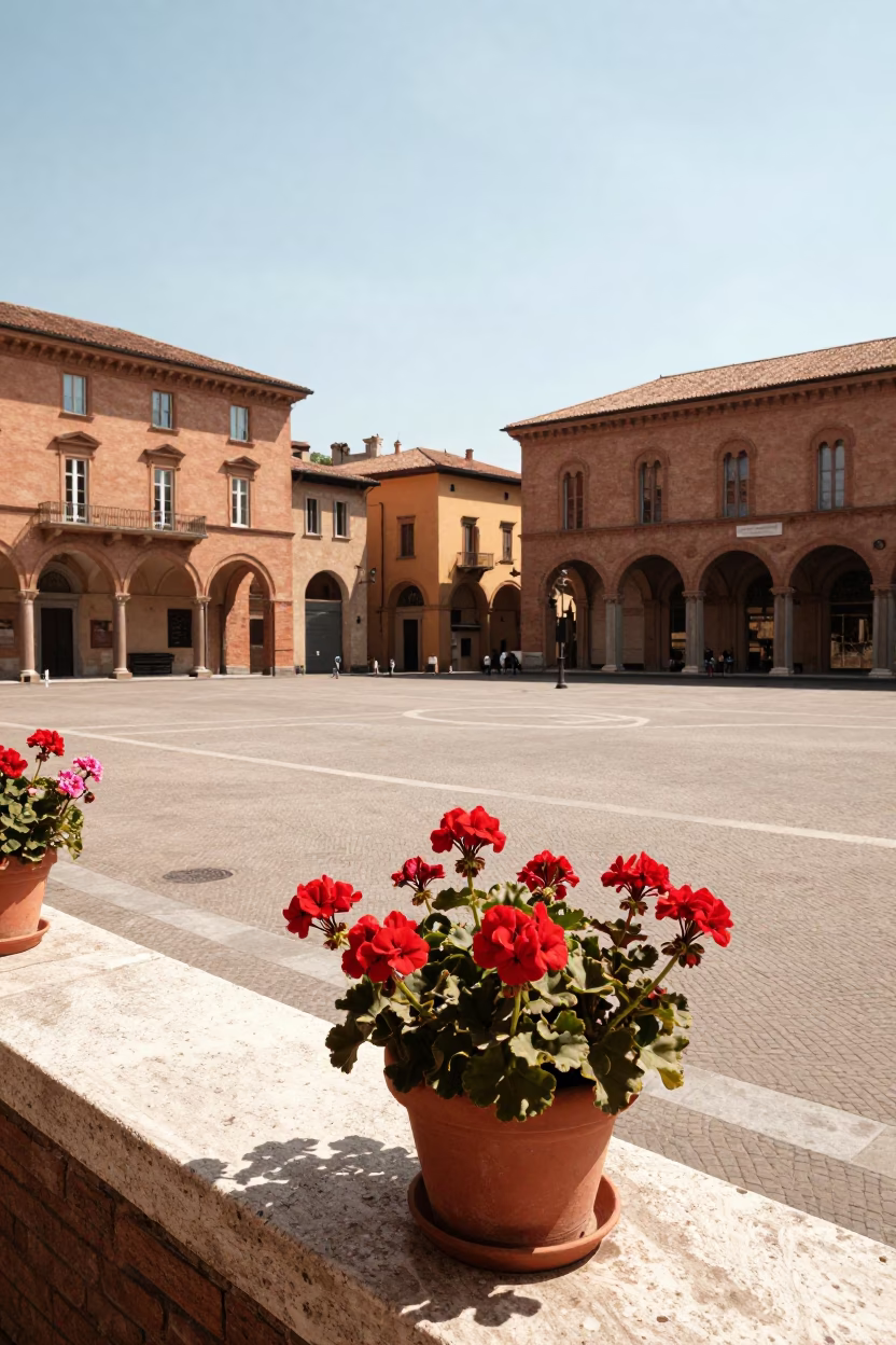 Sunlit Bologna Piazza with Potted Geraniums and Traditional Architecture in in Bologna, Italy