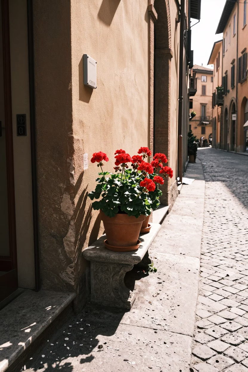 Sunlit Bologna Street Corner with Potted Geraniums and Vintage Life in in Bologna, Italy