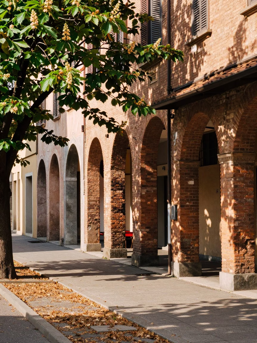 Sunlit Bologna Street Scene with Chestnut Tree Husks and Magazine Rack in in Bologna, Italy