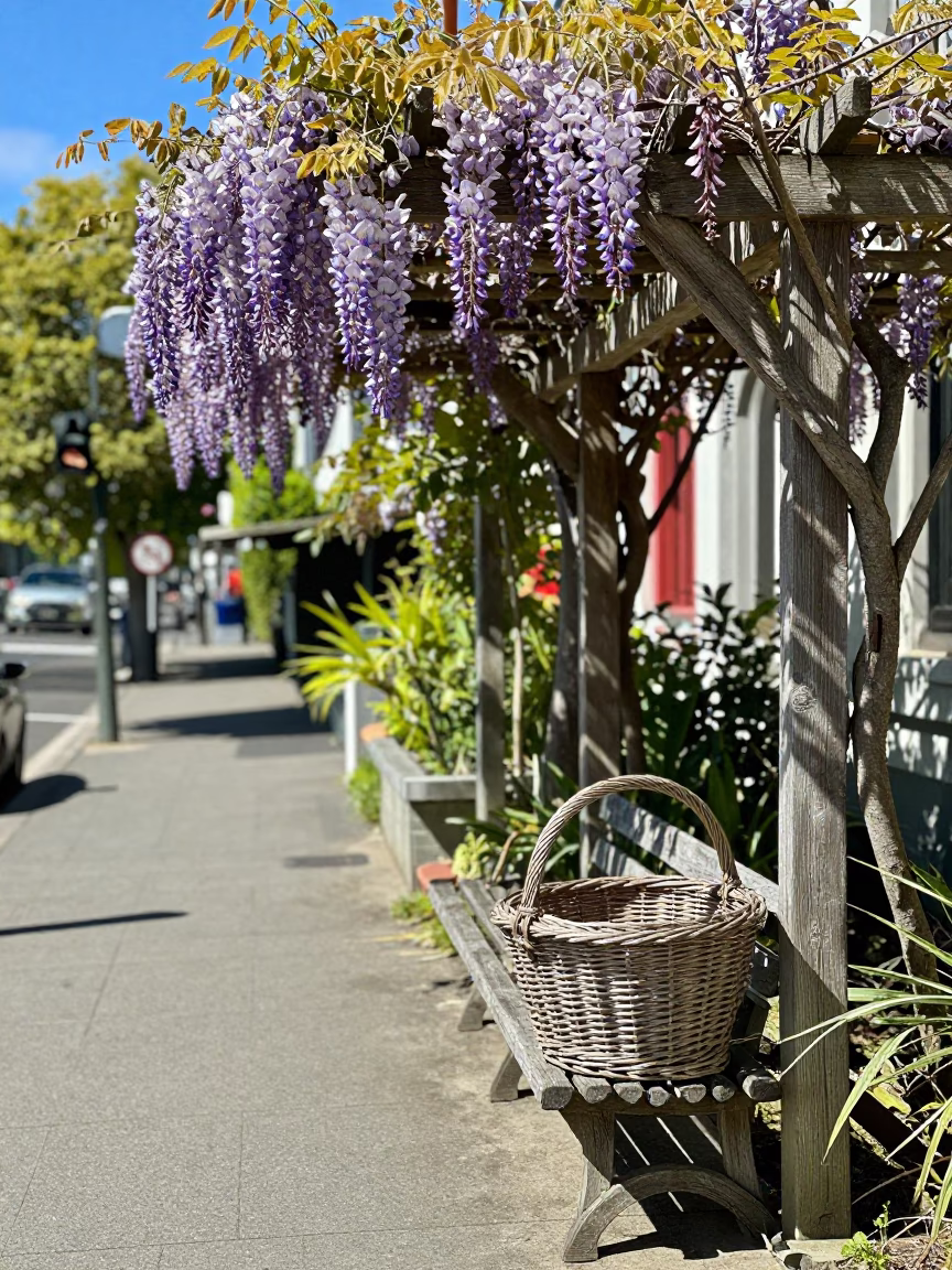 Sunlit Christchurch Street Scene with Wisteria Pergola and Wicker Basket at Midday in in Christchurch, New Zealand
