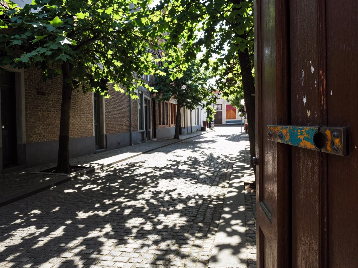Sunlit Cobblestone Alley in Brussels Belgium with Leaf Shadows and Paint Flecks in in Brussels, Belgium