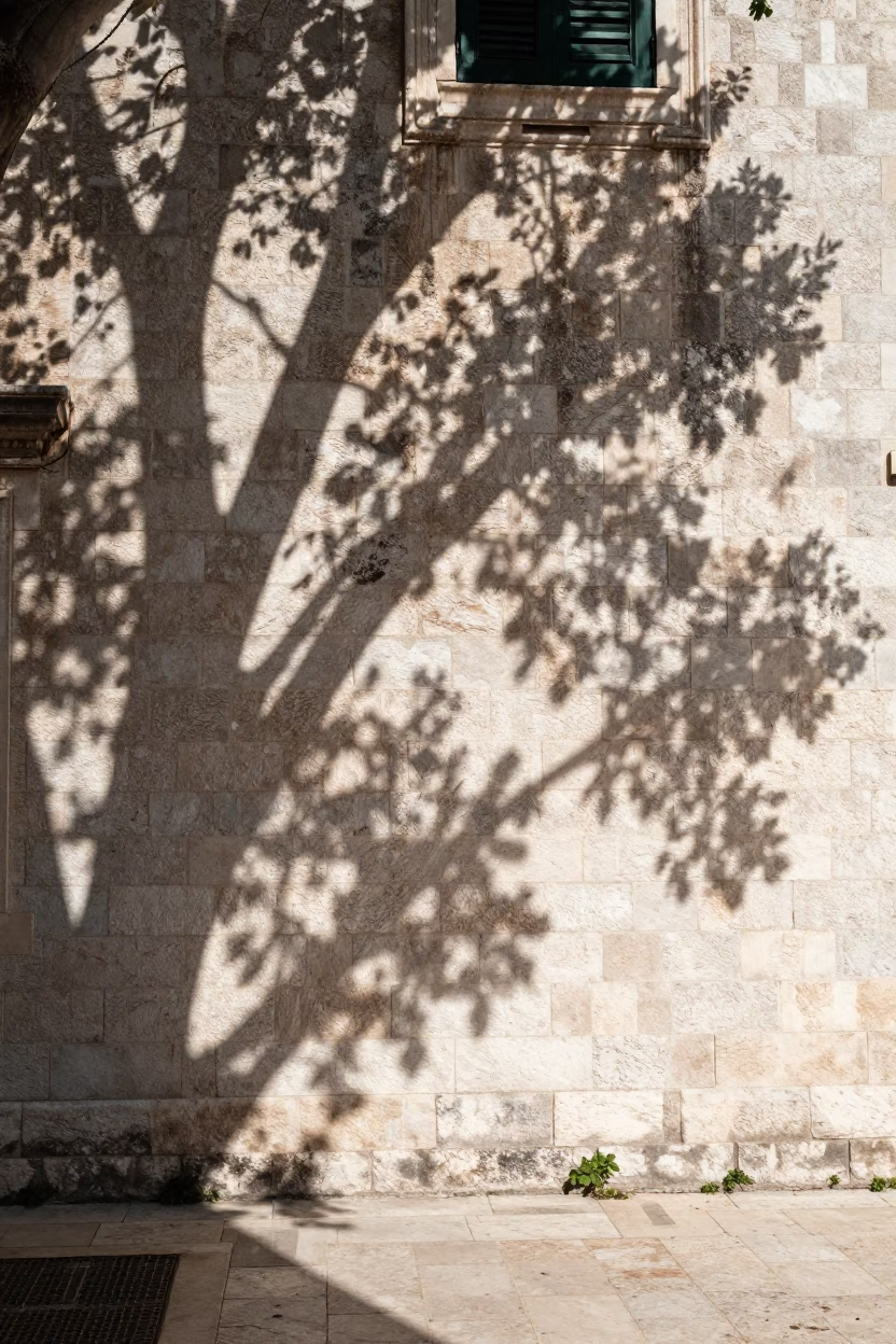 Sunlit Dubrovnik stone wall with leaf shadows and traditional architecture details in in Dubrovnik, Croatia