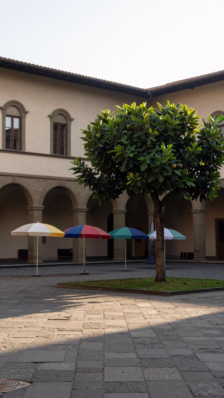 Sunlit Florence Courtyard with Umbrellas and Fig Trees at Dawn in in Florence, Italy