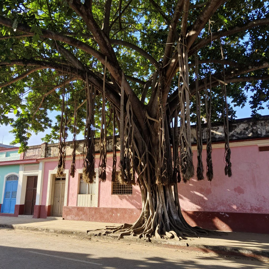 Sunlit Havana Street Scene with Banyan Tree Roots and Local Life in in Havana, Cuba