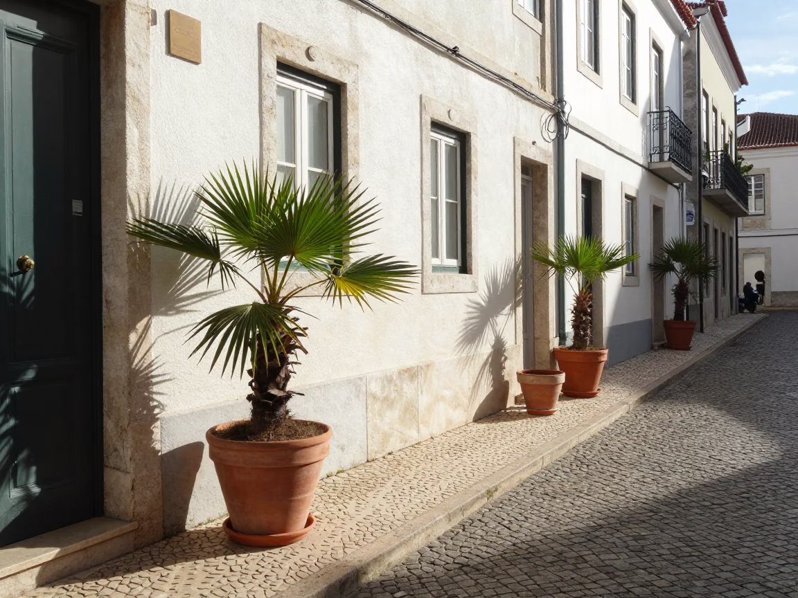Sunlit Lisbon Street Scene with Terracotta Pots and Palm Trees in Late Morning in in Lisbon, Portugal