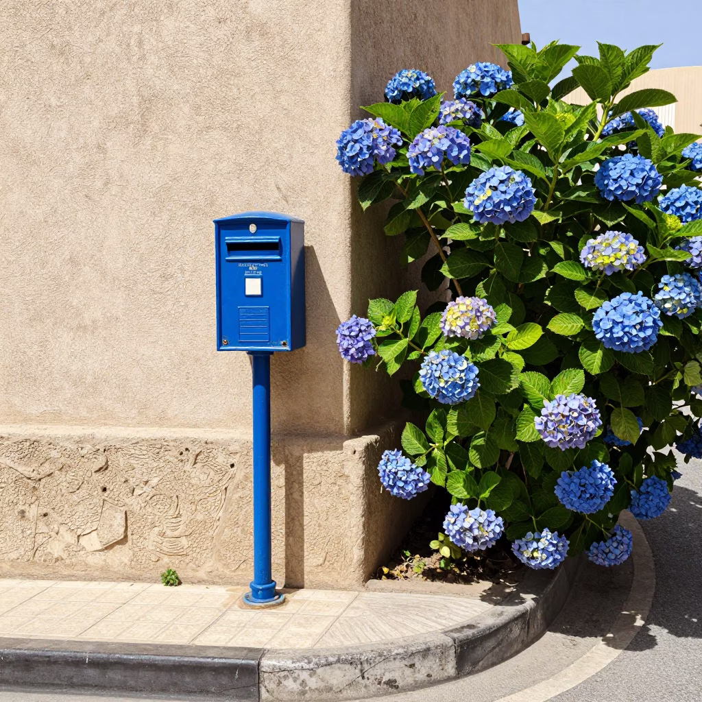 Sunlit Muscat Street Corner with Traditional Mailbox and Blue Hydrangea Bush in Oman Midday in in Muscat, Oman