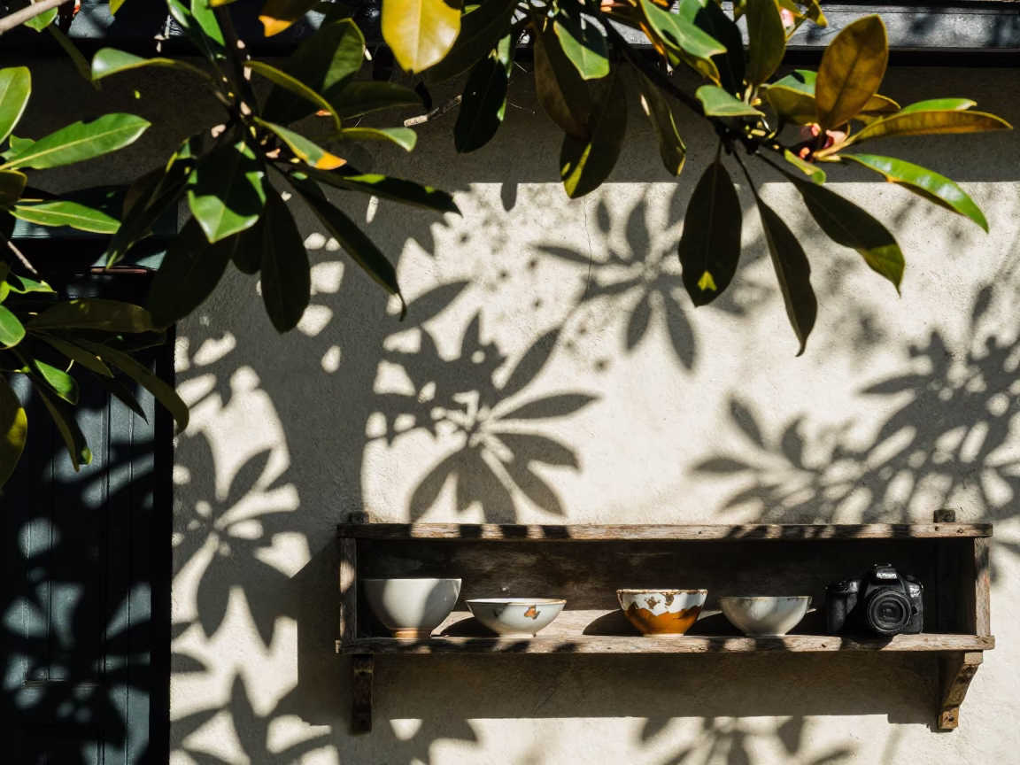 Sunlit New Orleans Alleyway with Leaf Shadows on Shelf and Brooms in in New Orleans, Louisiana, United States