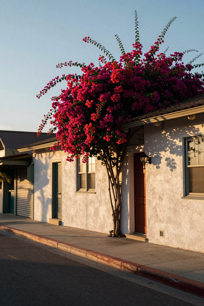 Sunlit San Diego Street Scene with Vintage Details and Local Life in in San Diego, California, United States