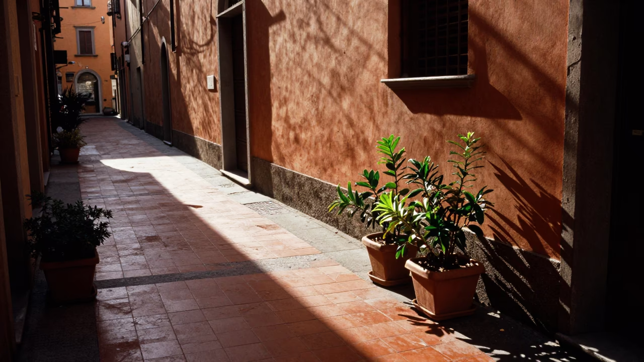 Sunlit Tile Shadow and Potted Plants in Bologna Early Afternoon Street Scene in in Bologna, Italy