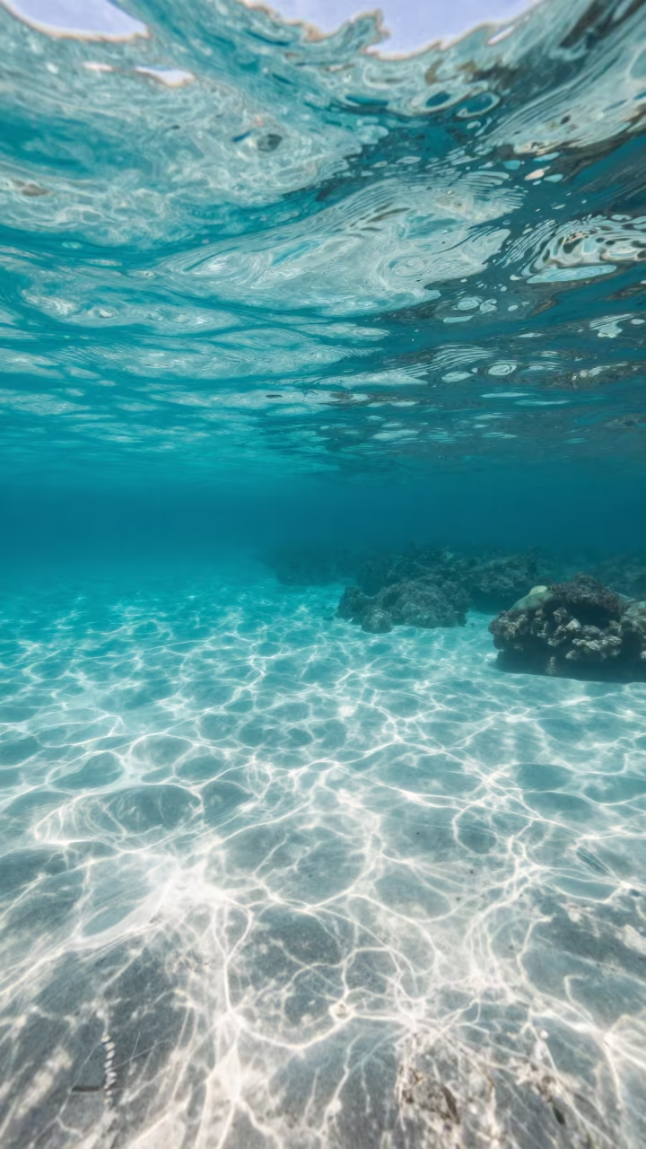 Sunlit Turquoise Lagoon Water Rio De Janeiro in through clear reef water near Rio de Janeiro