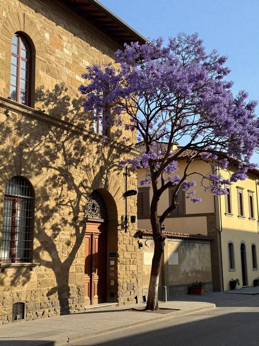 Sunlit Tuscan Street Corner with Jacaranda Bloom and Mechanical Pencil Sketching in in Florence, Italy