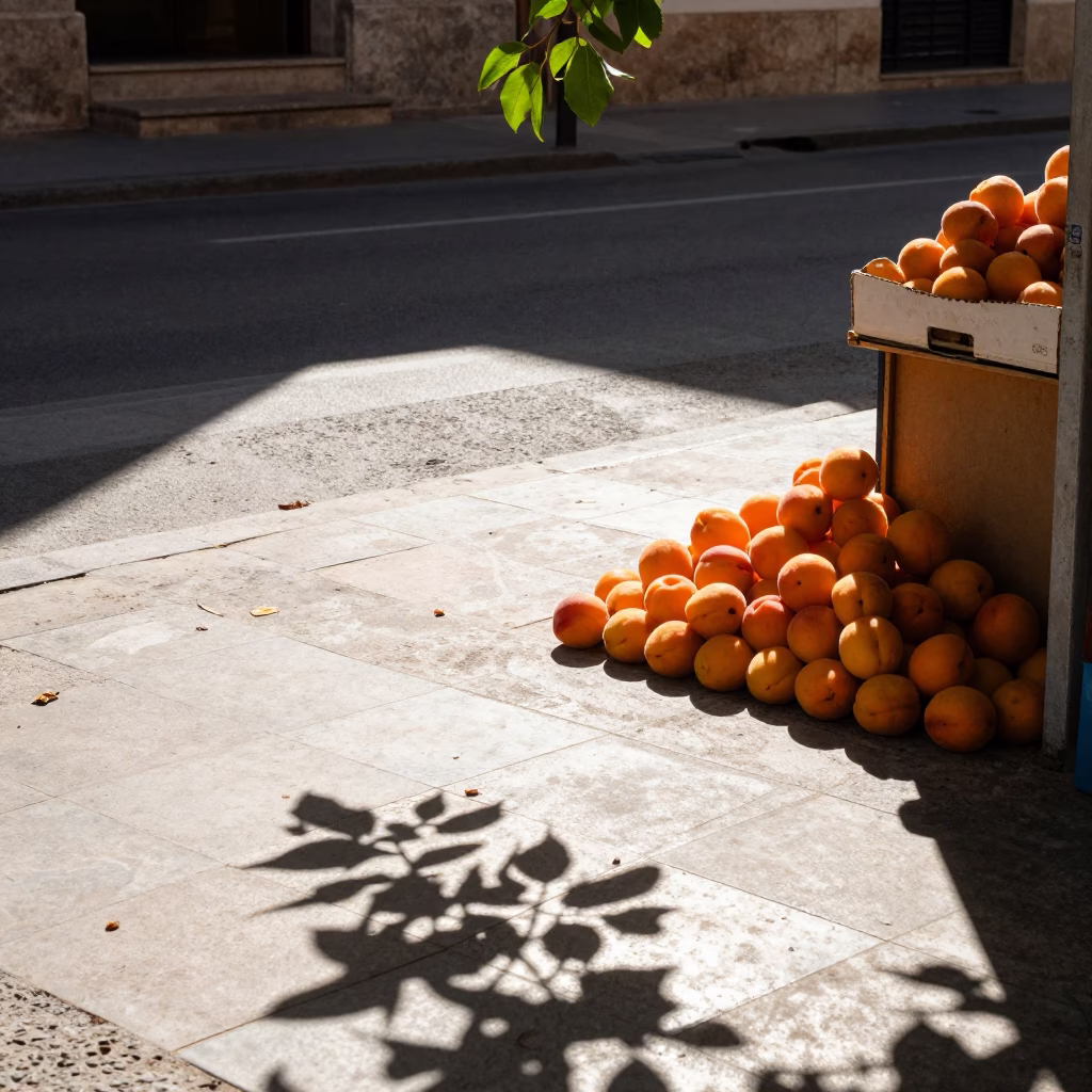 Sunlit Valencia Street Corner with Apricots and Leaf Shadows on Tile Grout in in Valencia, Spain