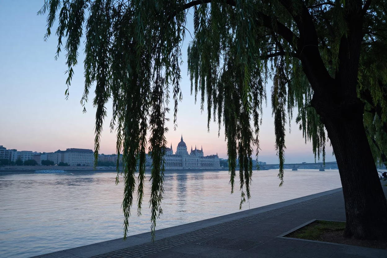 Sunrise Light on Dawn Light in Budapest in in Budapest, Hungary