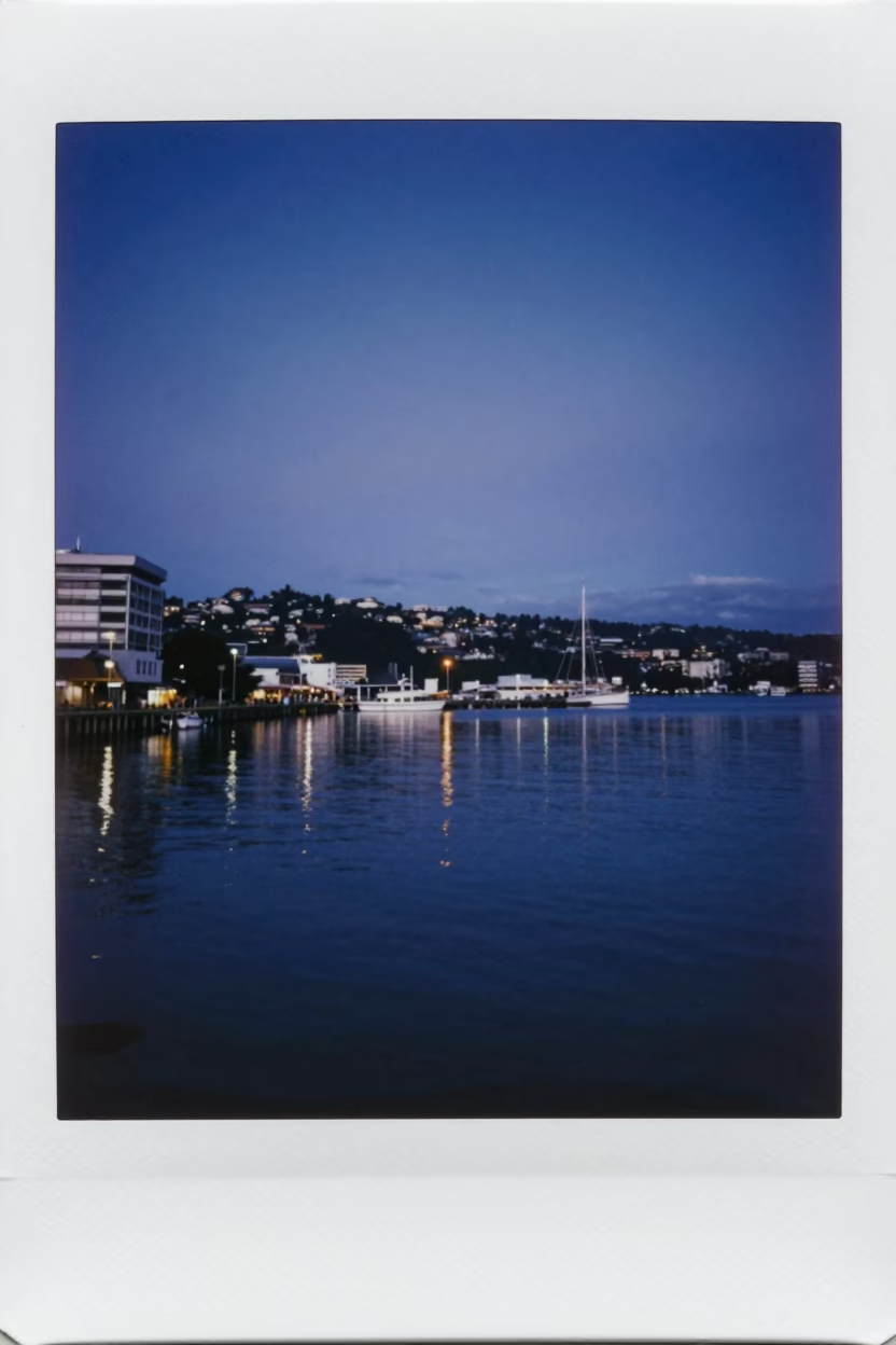 Sunrise Light on Harbor View in Wellington in in Wellington, New Zealand