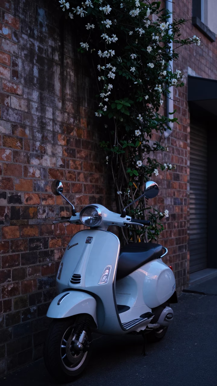 Sunrise Light on Pre-dawn Laneway in Sydney in in Sydney, New South Wales, Australia
