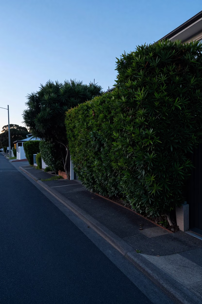 Sunrise Light on Street Scene in Perth in in Perth, Western Australia, Australia
