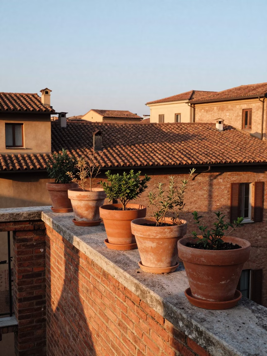 Sunrise over Bologna Italy terracotta pots on historic balcony overlooking Piazza Maggiore in in Bologna, Italy