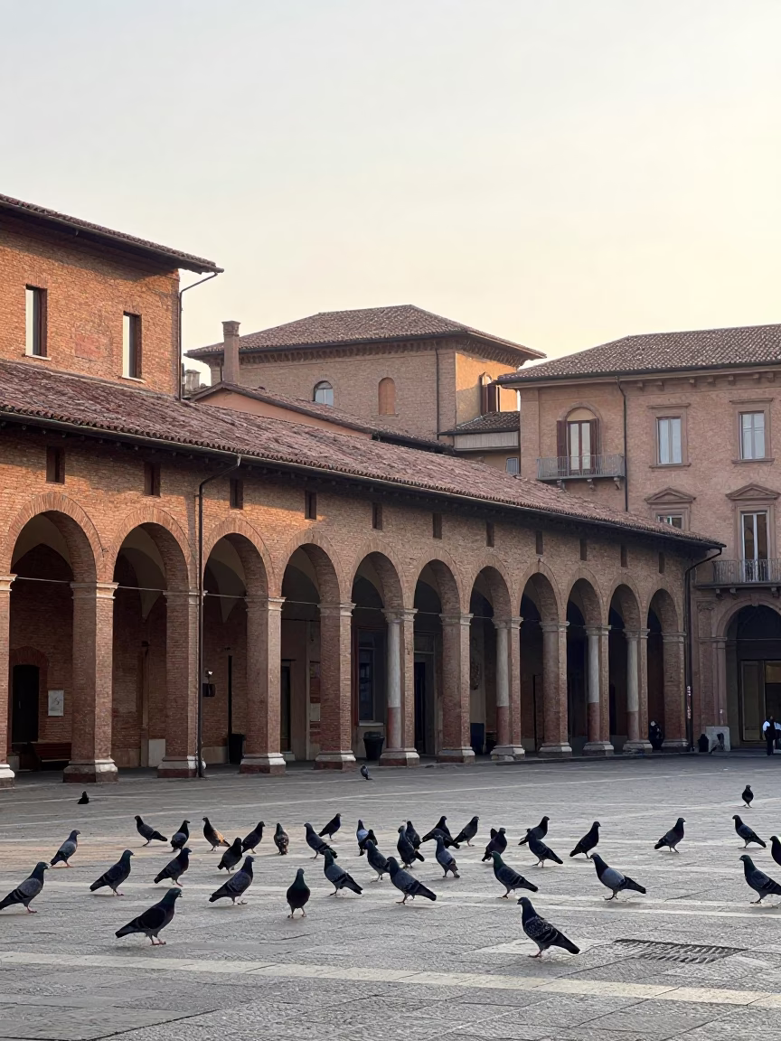 Sunrise Panorama of Bologna Italy Porticoes and Pigeons in Historic Piazza in in Bologna, Italy