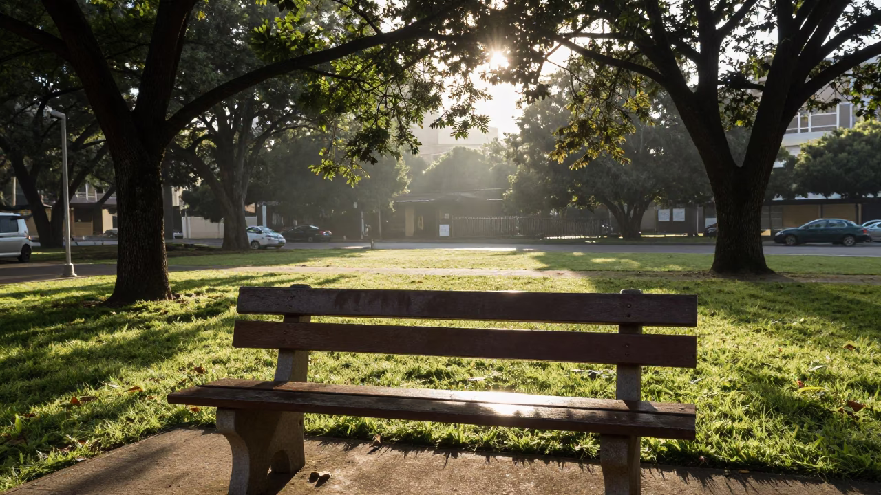 Sunrise Street Scene in Johannesburg South Africa with Leaf Shadows on Bench in in Johannesburg, South Africa