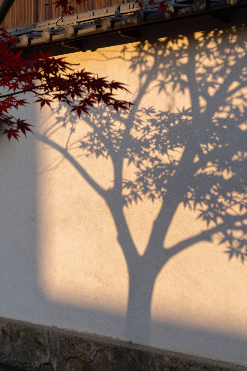 Sunset Light in Kyoto at Sunset Light in in Kyoto, Japan