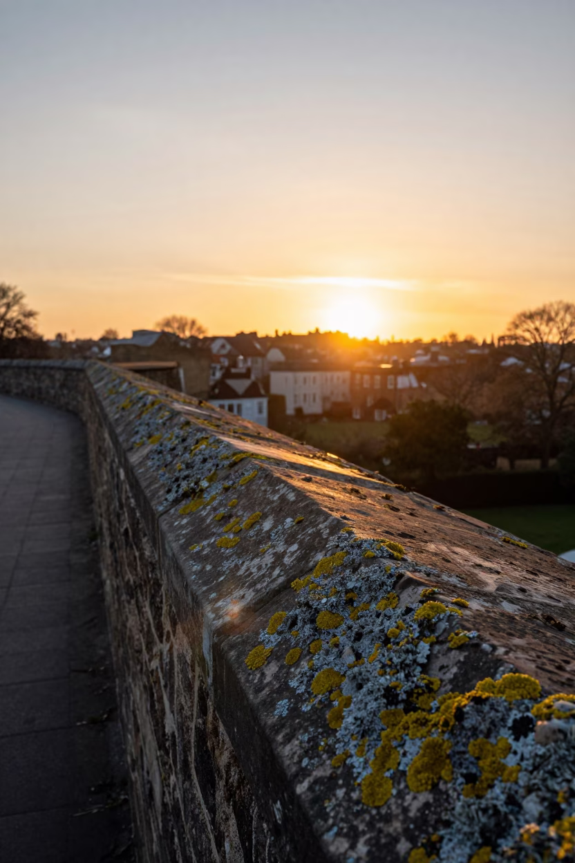 Sunset Light on Bristol Aqueduct Lichen Parapets and Clay Masala Chai Cup in in Bristol, United Kingdom