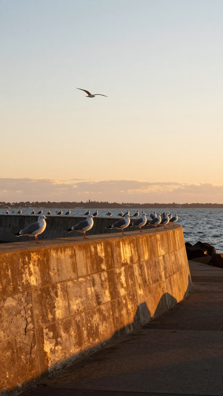 Sunset on Melbourne St Kilda Breakwater with Seagulls and Ocean Fog at Dusk in in Melbourne, Victoria, Australia