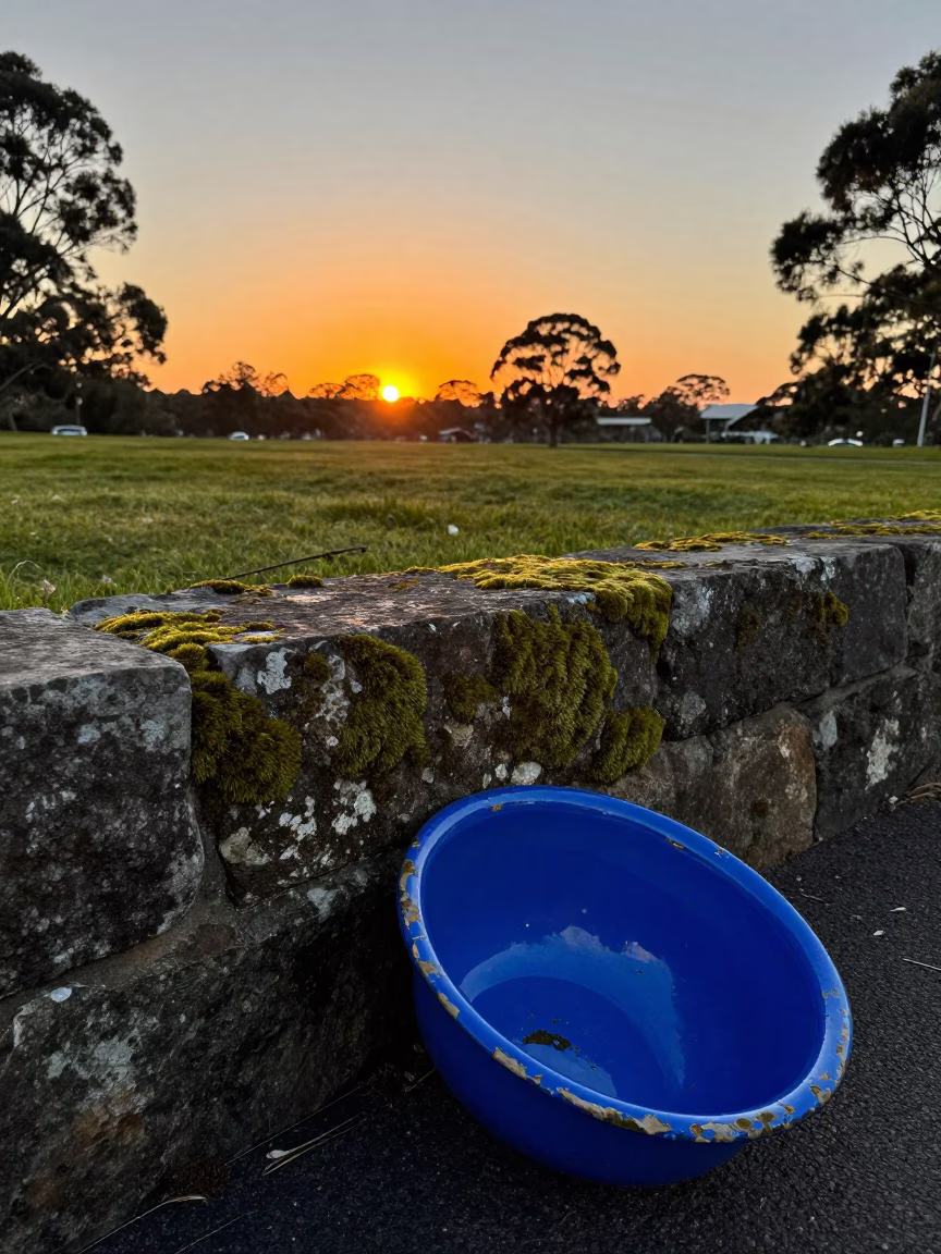 Sunset over Adelaide Park Lands with Chipped Blue Enamel and Mossy Stone Wall in in Adelaide, South Australia, Australia
